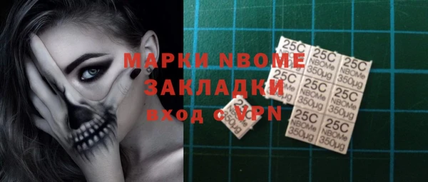 индика Алексин