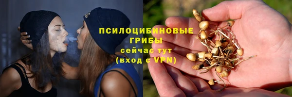 эйфоретик Алзамай