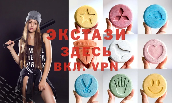 индика Алексин