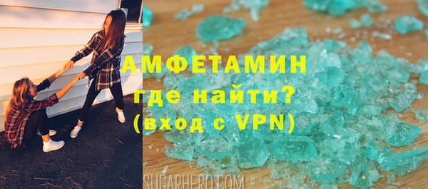 индика Алексин