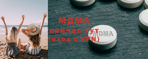 индика Алексин