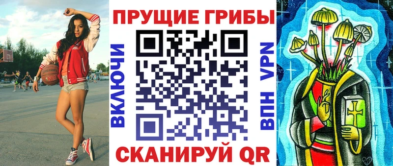 Псилоцибиновые грибы мицелий  как найти закладки  блэк спрут как войти  Новоузенск 